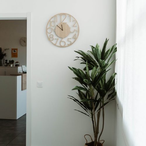 La Orgánica Studio 061