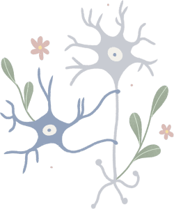 Neuropsicologia Psicólogo En Valdebebas, Madrid Y Online. Psicólogos Especializados En Población Adulta, Infanto-Juvenil, Familia Y Pareja. En Centro Ps Psicología Contamos Con Profesionales De La Psicología, Neuropsicología Y Psiquiatría.