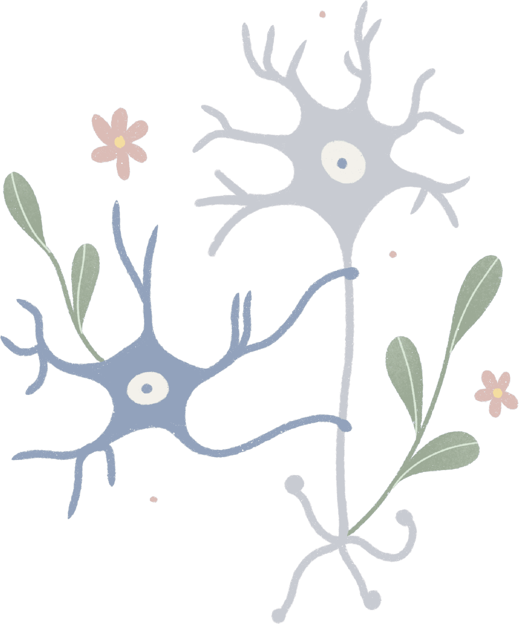 Neuropsicología