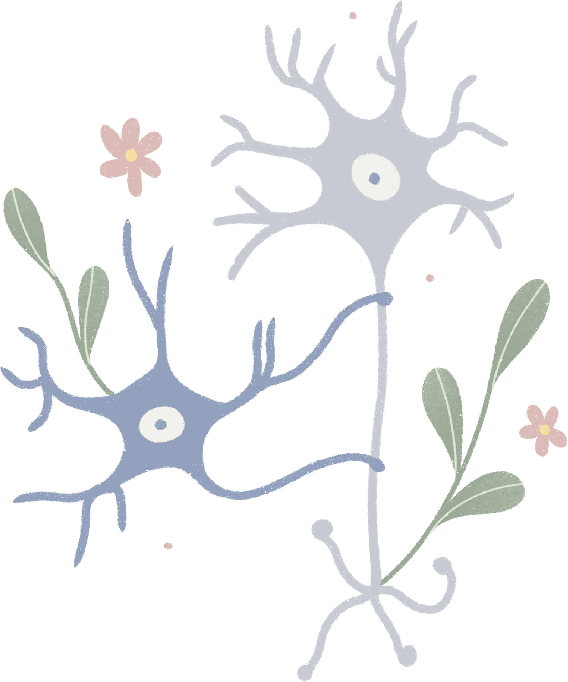 Neuropsicología
